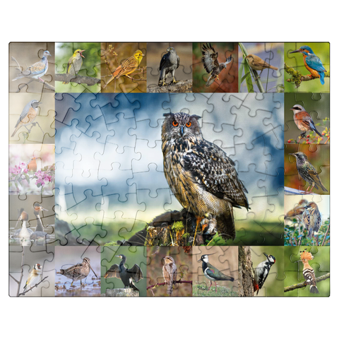 puzzleplate Birds of the year - Collage No.3 - Main subject: Eagle owl 100 Jigsaw Puzzle