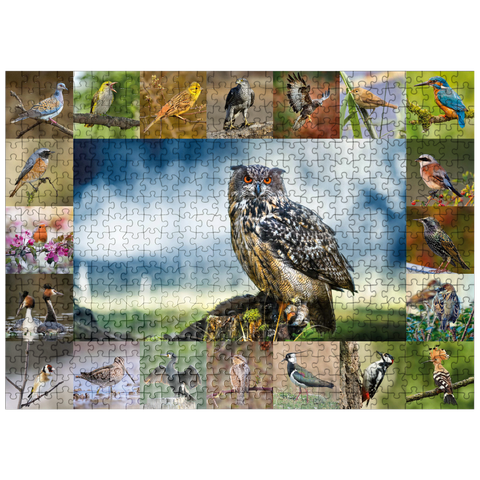 puzzleplate Birds of the year - Collage No.3 - Main subject: Eagle owl 500 Jigsaw Puzzle