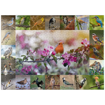 puzzleplate Birds of the year - Collage No.4 - Main subject: robin 1000 Jigsaw Puzzle