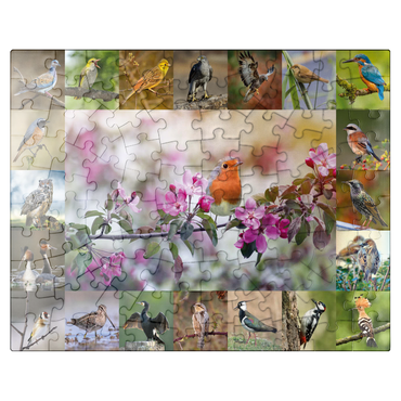 puzzleplate Birds of the year - Collage No.4 - Main subject: robin 100 Jigsaw Puzzle