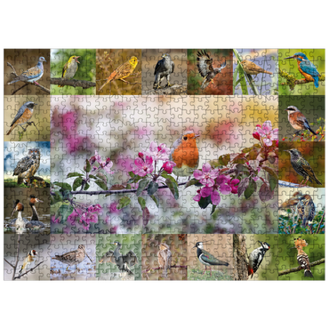 puzzleplate Birds of the year - Collage No.4 - Main subject: robin 500 Jigsaw Puzzle