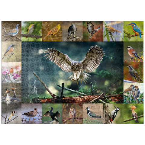 puzzleplate Birds of the Year - Collage No.5 - Main Motif: Tawny Owl 1000 Jigsaw Puzzle