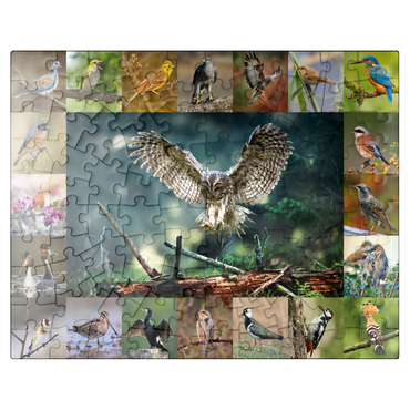 puzzleplate Birds of the Year - Collage No.5 - Main Motif: Tawny Owl 100 Jigsaw Puzzle