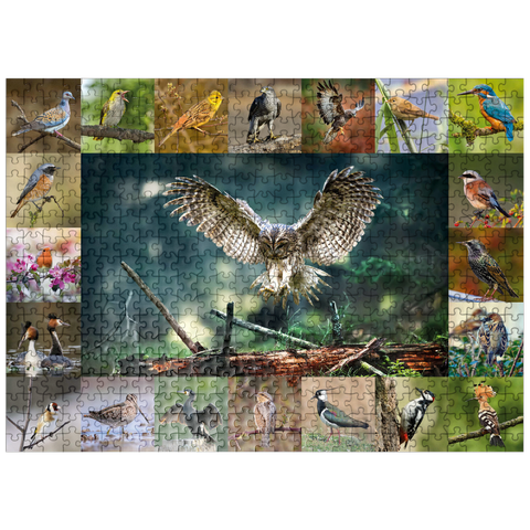 puzzleplate Birds of the Year - Collage No.5 - Main Motif: Tawny Owl 500 Jigsaw Puzzle