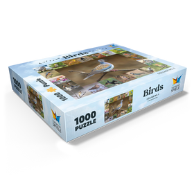 1000