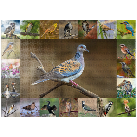 puzzleplate Birds of the Year - Collage No.6 - Main Motif: Turtle Dove 1000 Jigsaw Puzzle