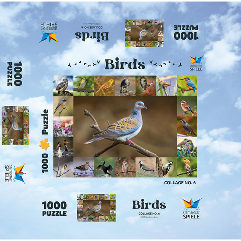 Birds of the Year - Collage No.6 - Main Motif: Turtle Dove 1000 Jigsaw Puzzle box 3D Modell