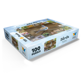 100