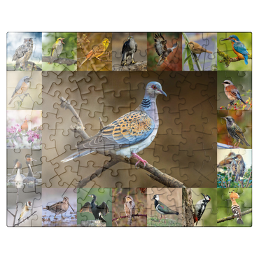 puzzleplate Birds of the Year - Collage No.6 - Main Motif: Turtle Dove 100 Jigsaw Puzzle