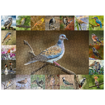 puzzleplate Birds of the Year - Collage No.6 - Main Motif: Turtle Dove 500 Jigsaw Puzzle