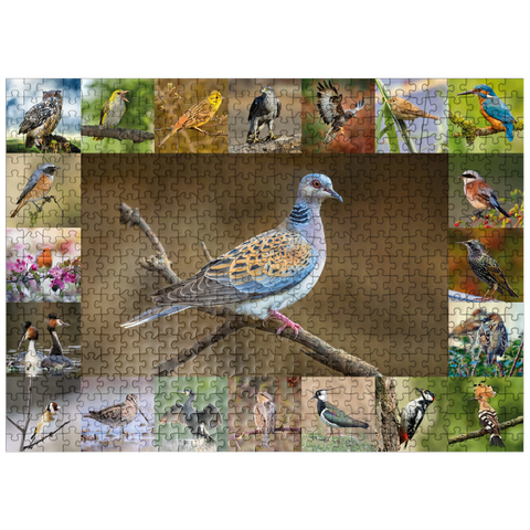 puzzleplate Birds of the Year - Collage No.6 - Main Motif: Turtle Dove 500 Jigsaw Puzzle