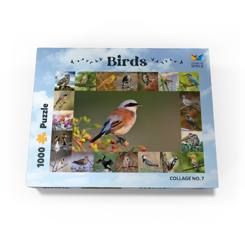Birds of the year - Collage No.7 - Main subject: Red-backed Shrike 1000 Jigsaw Puzzle box view1