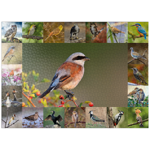 puzzleplate Birds of the year - Collage No.7 - Main subject: Red-backed Shrike 1000 Jigsaw Puzzle