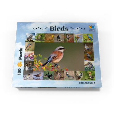Birds of the year - Collage No.7 - Main subject: Red-backed Shrike 100 Jigsaw Puzzle box view1