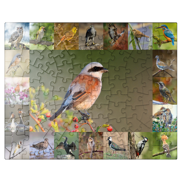 puzzleplate Birds of the year - Collage No.7 - Main subject: Red-backed Shrike 100 Jigsaw Puzzle
