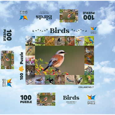 Birds of the year - Collage No.7 - Main subject: Red-backed Shrike 100 Jigsaw Puzzle box 3D Modell