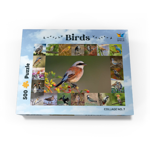 Birds of the year - Collage No.7 - Main subject: Red-backed Shrike 500 Jigsaw Puzzle box view1