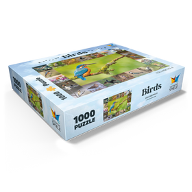 1000