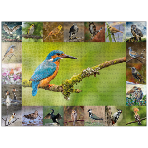 puzzleplate Birds of the Year - Collage No.8 Main subject: Kingfisher 1000 Jigsaw Puzzle