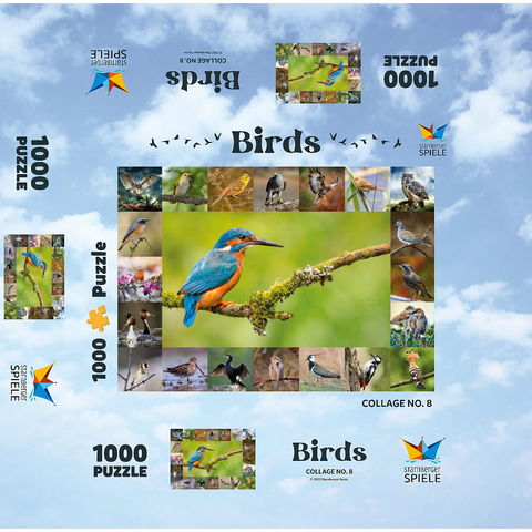 Birds of the Year - Collage No.8 Main subject: Kingfisher 1000 Jigsaw Puzzle box 3D Modell