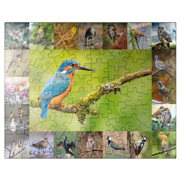 puzzleplate Birds of the Year - Collage No.8 Main subject: Kingfisher 100 Jigsaw Puzzle