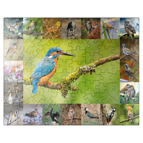 puzzleplate Birds of the Year - Collage No.8 Main subject: Kingfisher 100 Jigsaw Puzzle