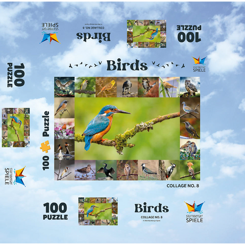 Birds of the Year - Collage No.8 Main subject: Kingfisher 100 Jigsaw Puzzle box 3D Modell