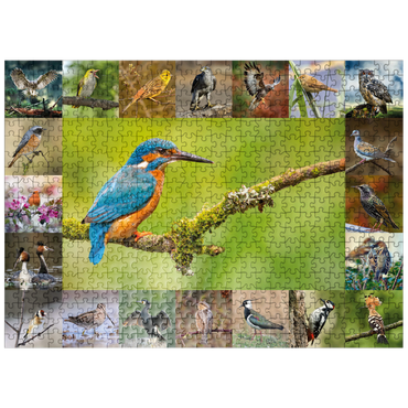 puzzleplate Birds of the Year - Collage No.8 Main subject: Kingfisher 500 Jigsaw Puzzle