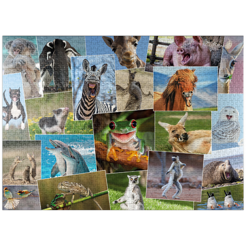 puzzleplate Funny animals - Collage No. 2 1000 Jigsaw Puzzle