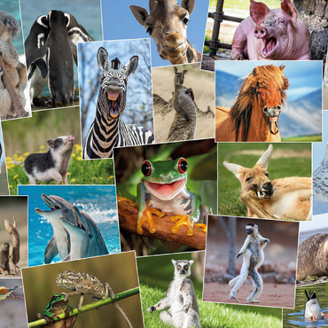 Funny animals - Collage No. 2 100 Jigsaw Puzzle 3D Modell