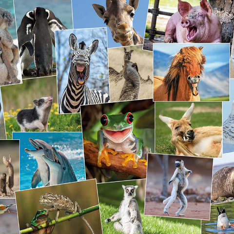 Funny animals - Collage No. 2 100 Jigsaw Puzzle 3D Modell