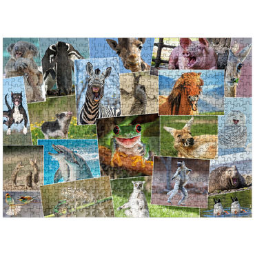 puzzleplate Funny animals - Collage No. 2 500 Jigsaw Puzzle