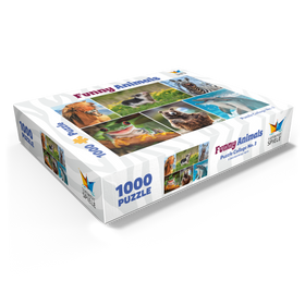 1000