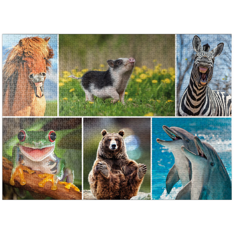 puzzleplate Funny animals - Collage No. 3 1000 Jigsaw Puzzle