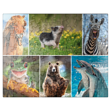 puzzleplate Funny animals - Collage No. 3 100 Jigsaw Puzzle