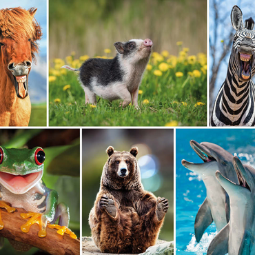Funny animals - Collage No. 3 100 Jigsaw Puzzle 3D Modell