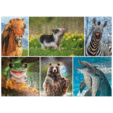 puzzleplate Funny animals - Collage No. 3 500 Jigsaw Puzzle
