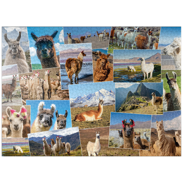 puzzleplate Llamas and alpacas - Collage No. 2 1000 Jigsaw Puzzle