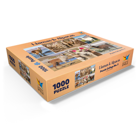 1000