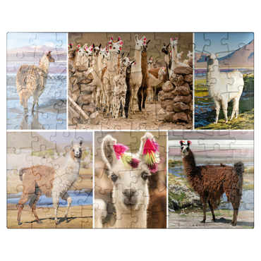 puzzleplate Llamas and alpacas - Collage No. 3 100 Jigsaw Puzzle