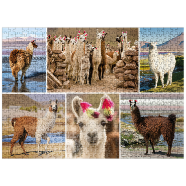 puzzleplate Llamas and alpacas - Collage No. 3 500 Jigsaw Puzzle