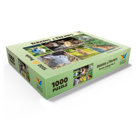 1000