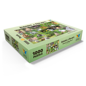 1000