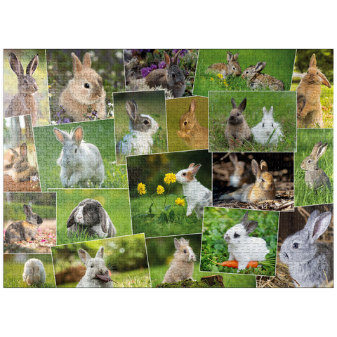 puzzleplate Bunnies & Rabbits - Collage No. 3 1000 Jigsaw Puzzle