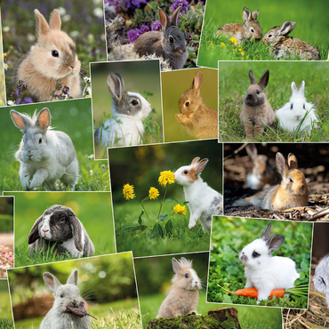 Bunnies & Rabbits - Collage No. 3 1000 Jigsaw Puzzle 3D Modell