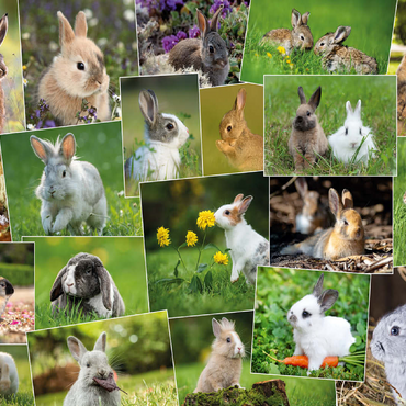 Bunnies & Rabbits - Collage No. 3 100 Jigsaw Puzzle 3D Modell