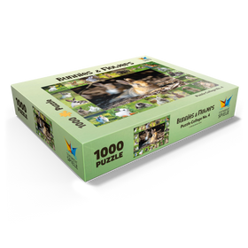 1000