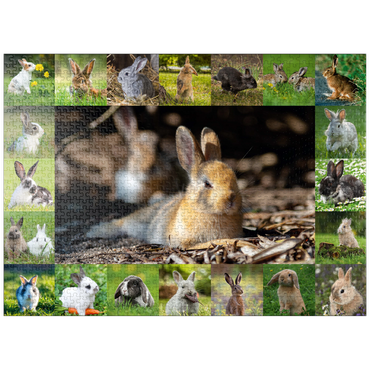puzzleplate Bunnies & Rabbits - Collage No. 4 1000 Jigsaw Puzzle