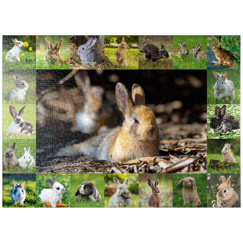 puzzleplate Bunnies & Rabbits - Collage No. 4 1000 Jigsaw Puzzle