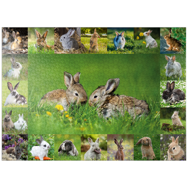 puzzleplate Bunnies & Rabbits - Collage No. 5 1000 Jigsaw Puzzle